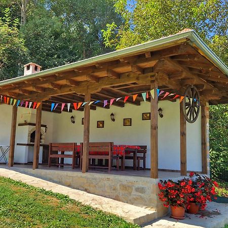 Старият Дюкянь Villa Elena Buitenkant foto