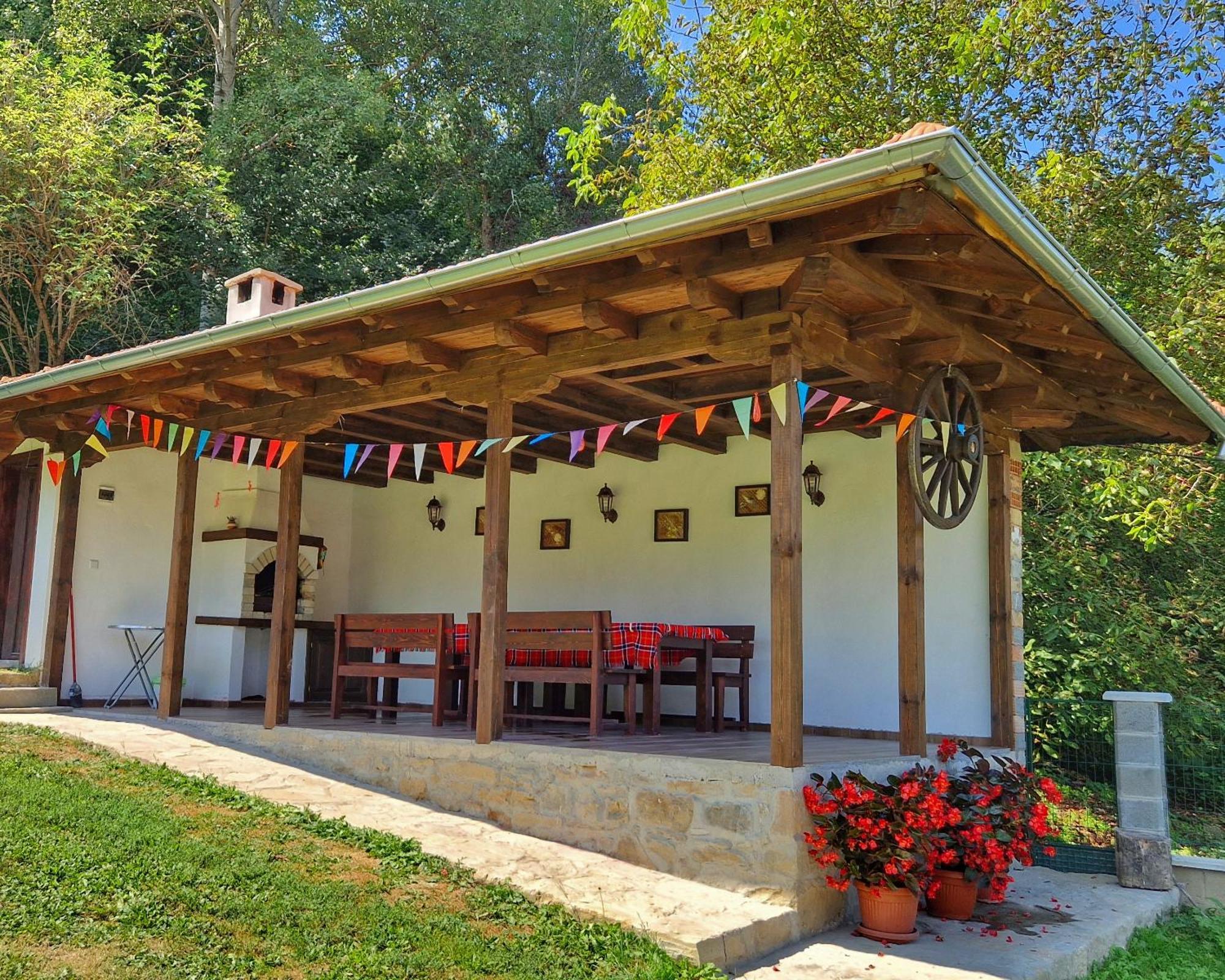 Старият Дюкянь Villa Elena Buitenkant foto